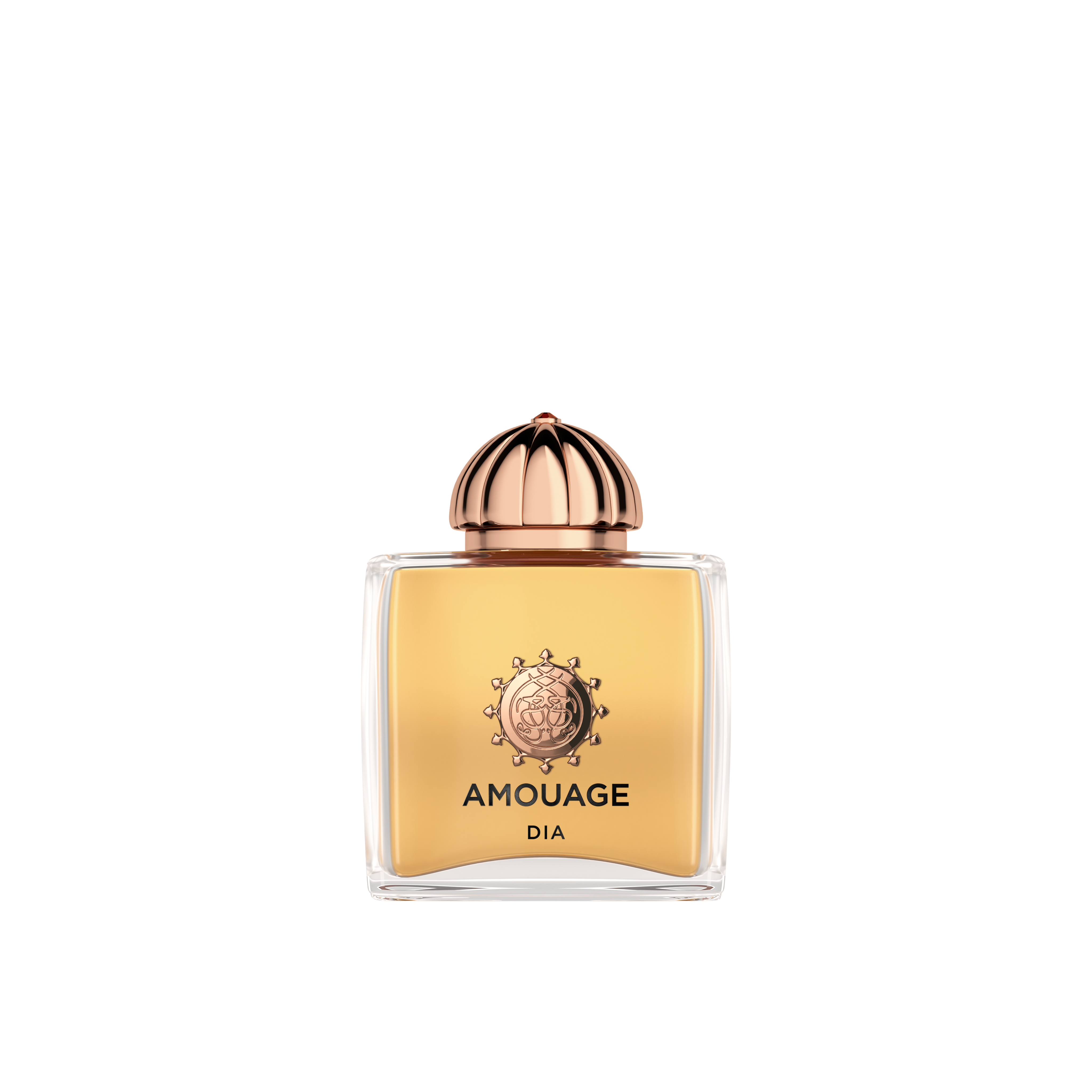 AMOUAGE Dia Woman 100ml