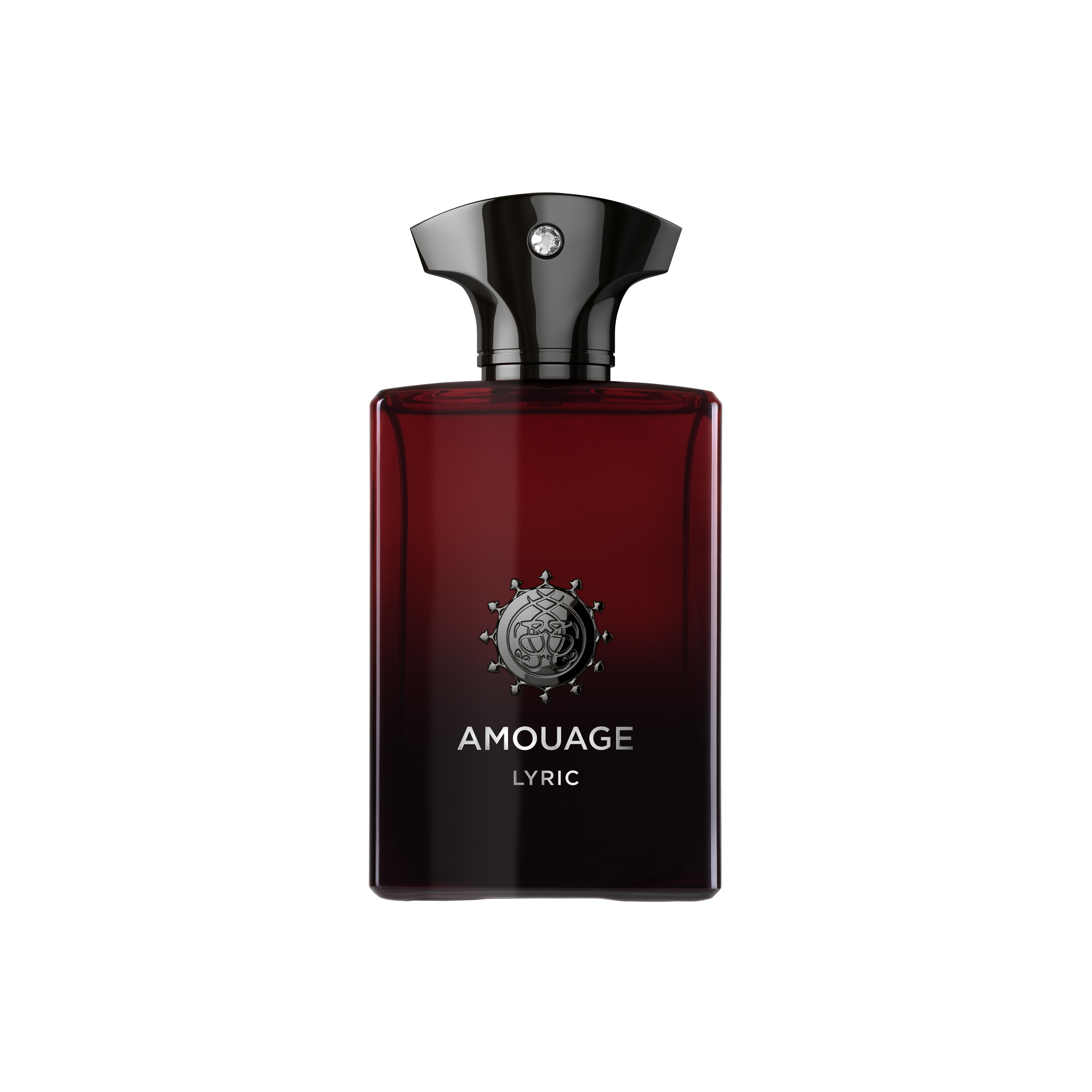 AMOUAGE Lyric Man 100ml