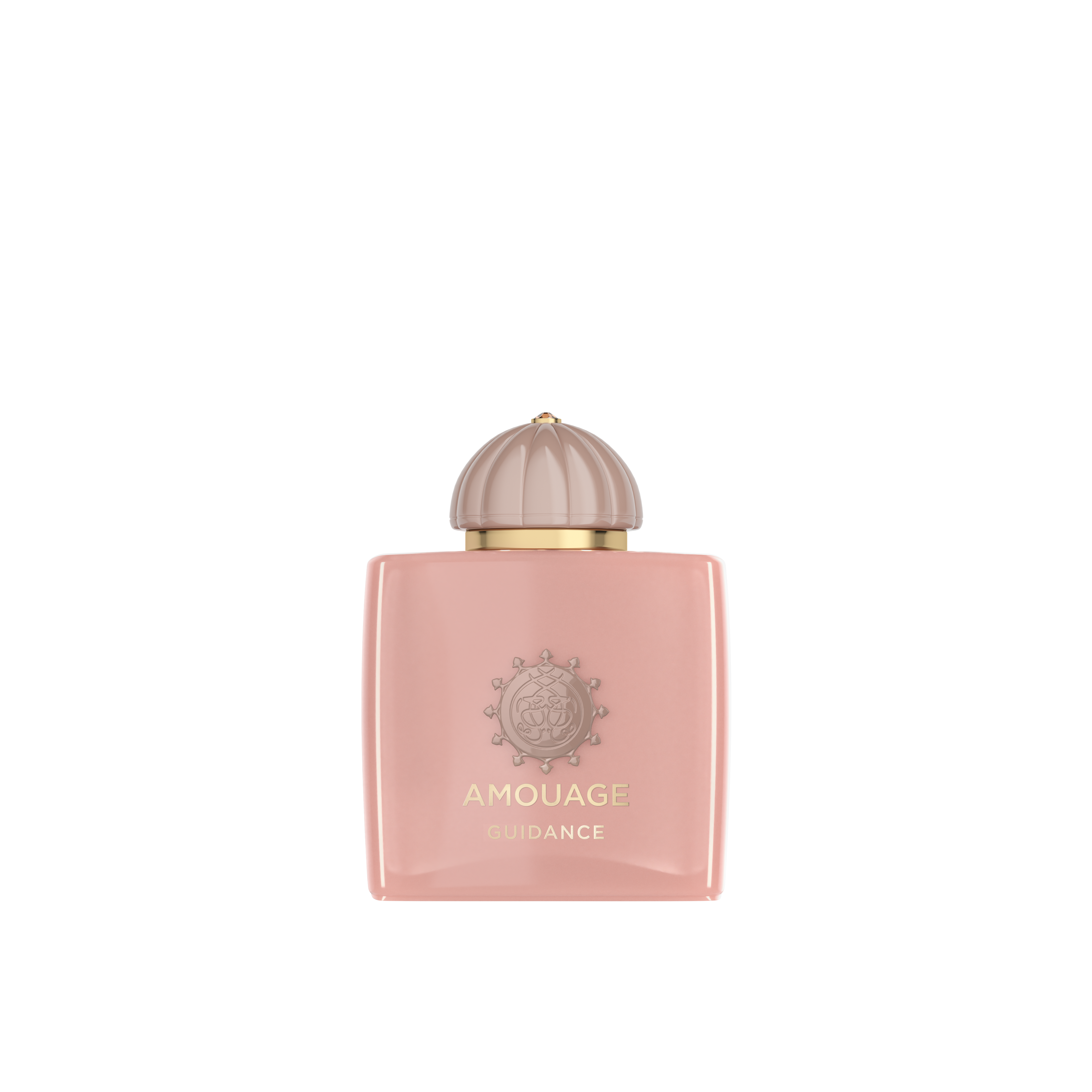 AMOUAGE Guidance 100ml