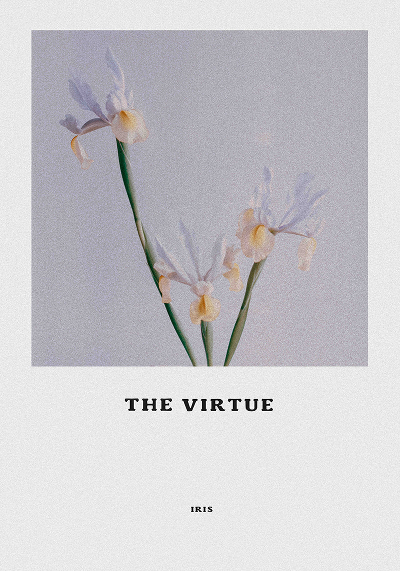 The Virtue - Iris- 50ml Parfum