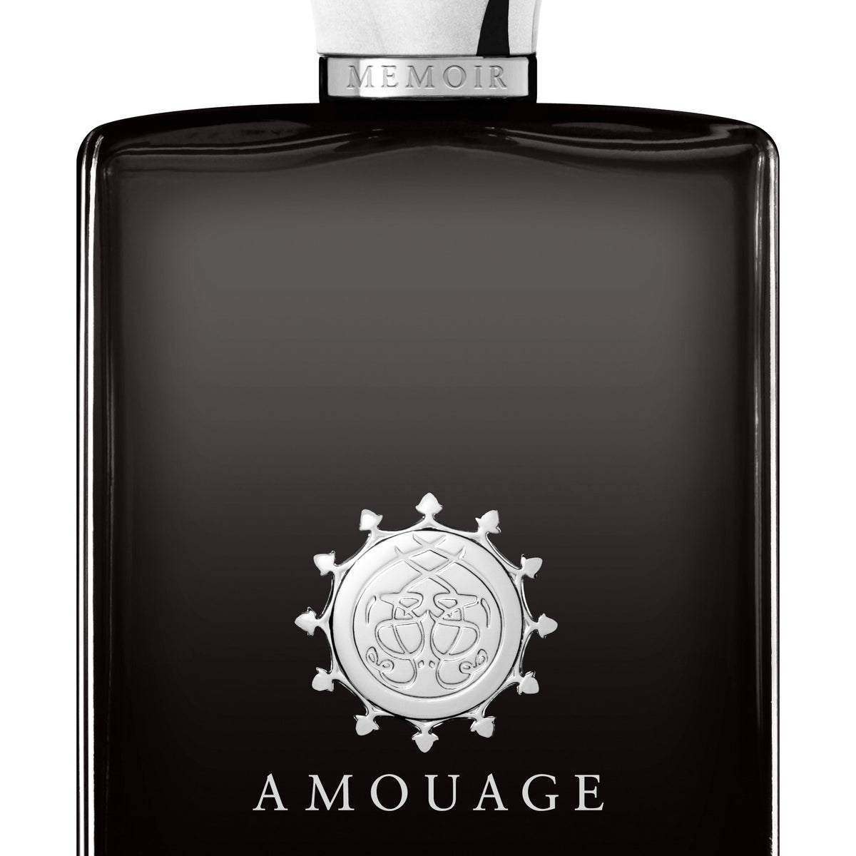 AMOUAGE Memoir Man 100ml WORLD